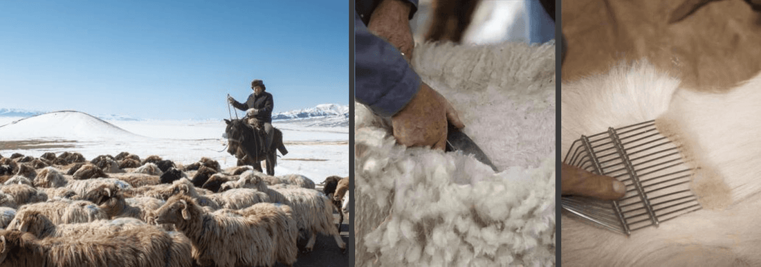 Cashmere Grades Demystified: How to Identify Premium Quality