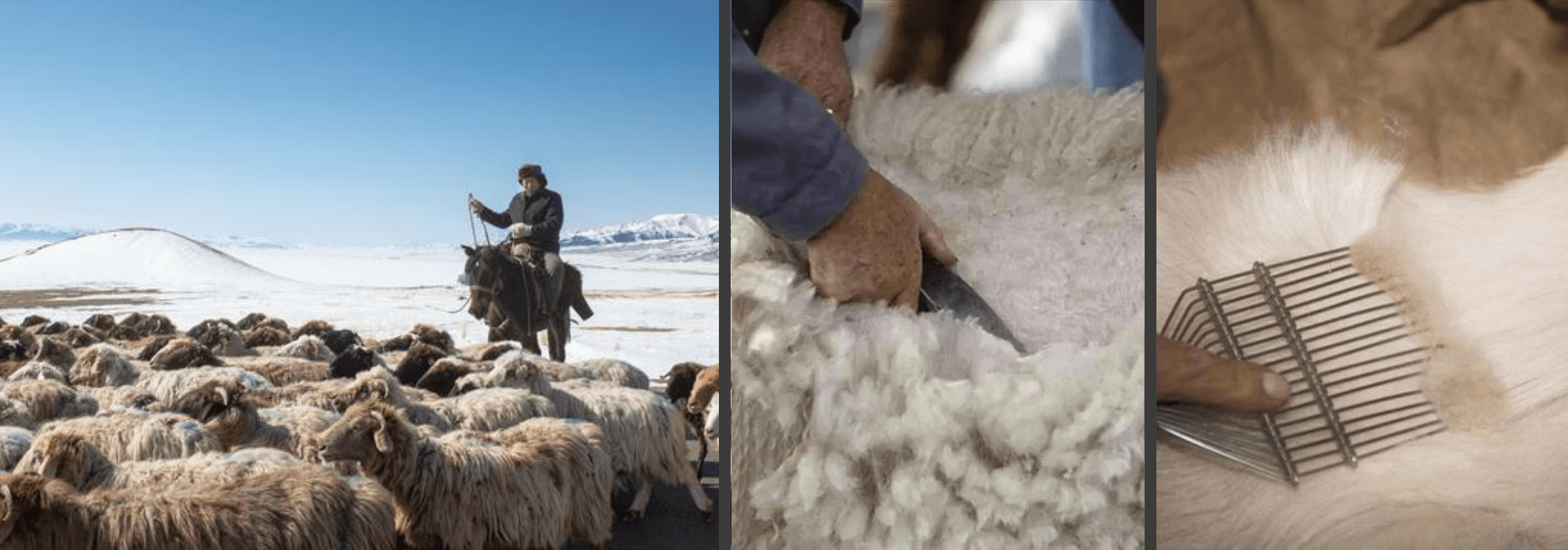 Cashmere Grades Demystified: How to Identify Premium Quality