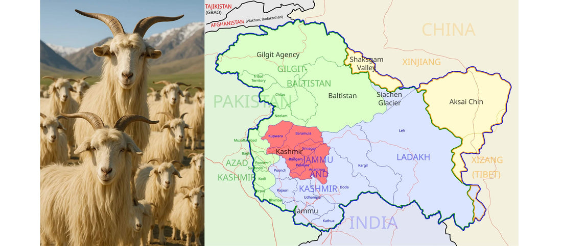 whats the Difference Between Pashmina and Cashmere: A Must-Know