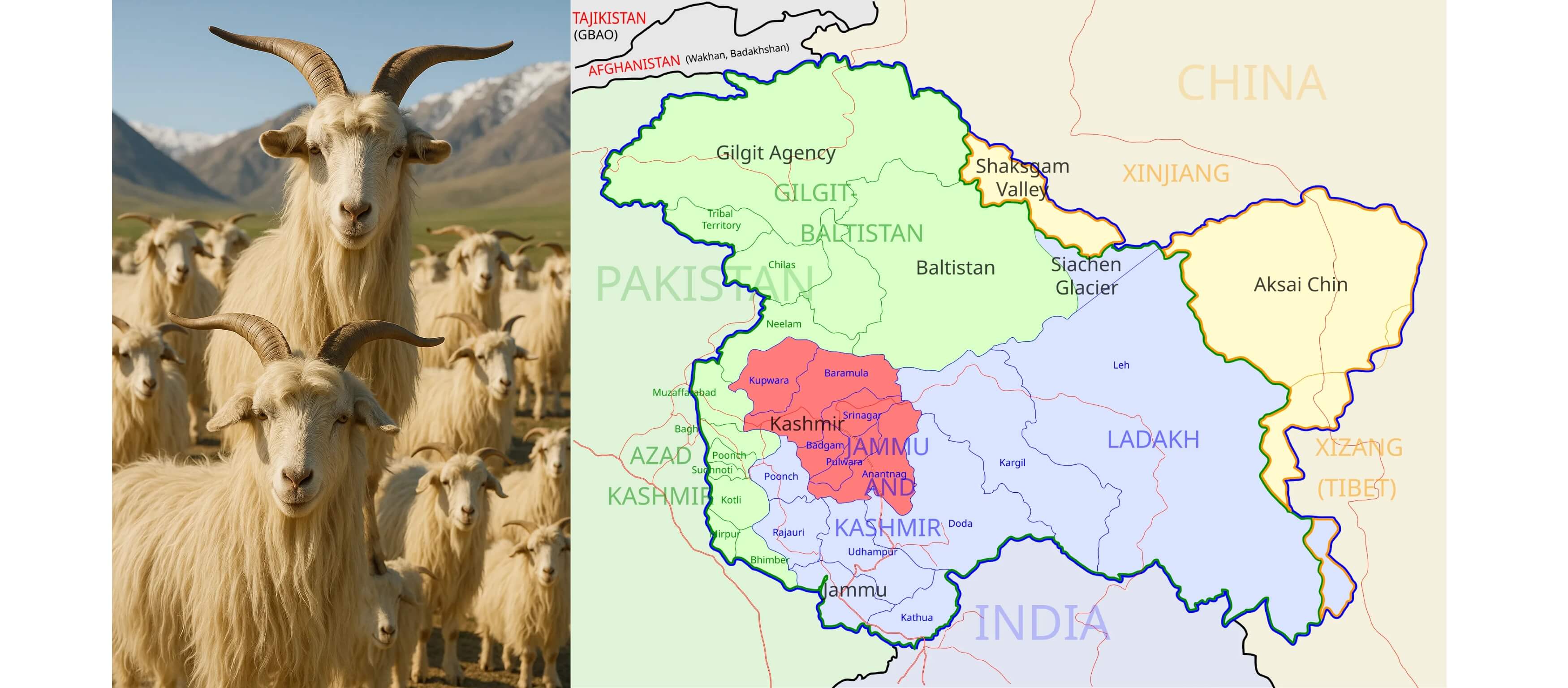 whats the Difference Between Pashmina and Cashmere: A Must-Know